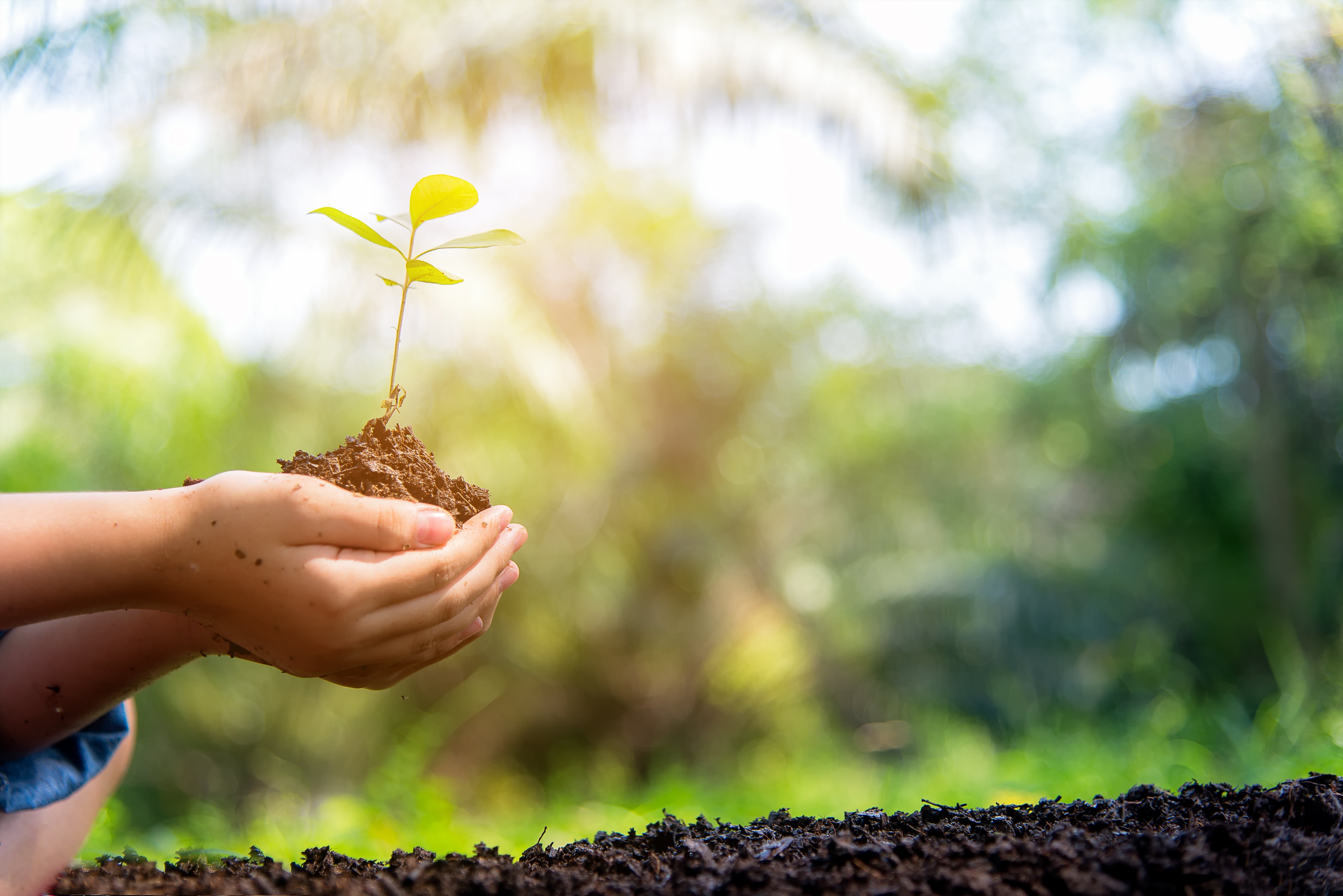 What's the difference between biodegradable and compostable?