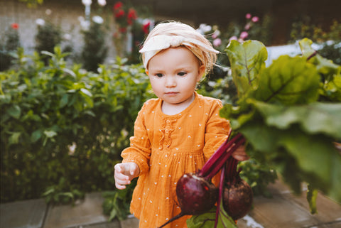 toddler carrying beetroot from garden