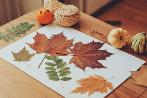 autumn leaf craft