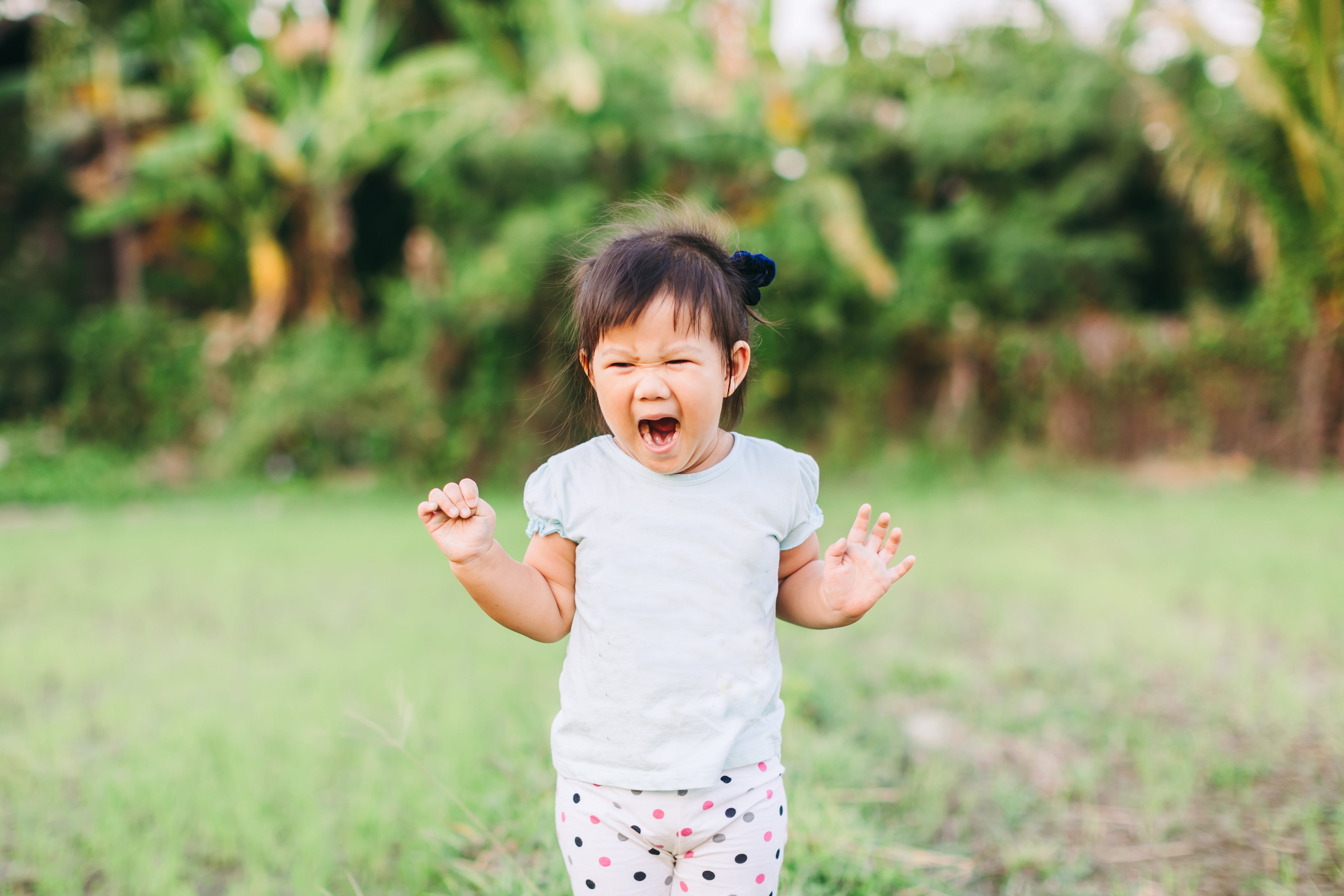 Toddler Tantrums – Why They're A Good Thing