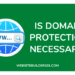 is domain protection necessary
